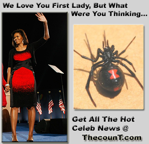Michelle Obama Dress... A Tragedy bwidowq.jpg