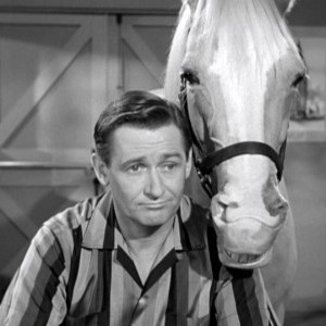 Alan Young die mister ed