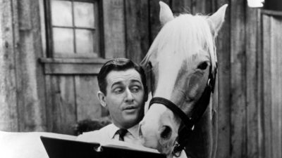 Alan Young mister ed