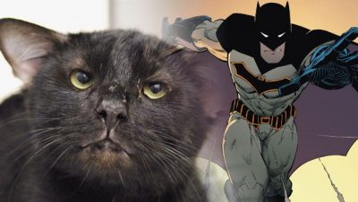 Batman four eared cat named
