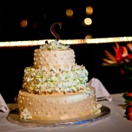Worst Decorated Cake Disasters Ever Cooking Fails Worst Cakes 10 190x190 Worst Decorated Cake Disasters Ever