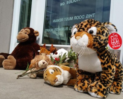 Dentist Office MEMORIAL FOR CECIL 5