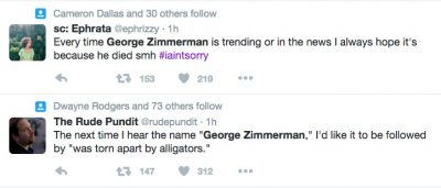 George Zimmerman gun trayvon martin
