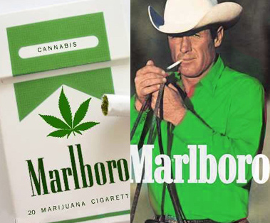 Marlboro M Marijuana real cannabis