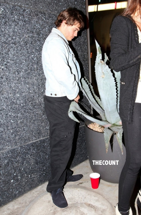 Screen Shot 2012 12 05 at 2.54.52 PM Emile Hirsch PEEING In Public Caught On Meme