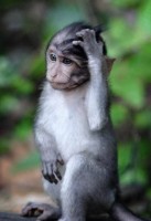 crazyanimalsfunnyanimalpicturespichunter 10 137x200 Worlds Cutest Animal Pictures!