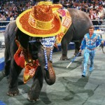 Wilmer Valderrama and PETA Try to Shut Down Ringling Brothers Circus Ringling Bros.