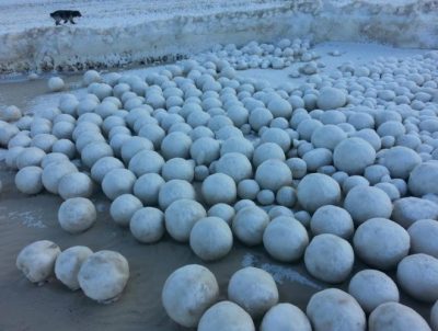 giant-snowballs-russian-beaches