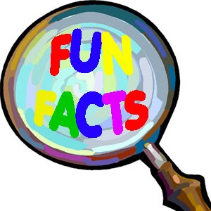google fun facts