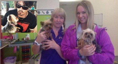 johnny depp dogs euthanized Australia