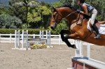 noah cyrus horse