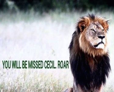 petition for cecil the lion