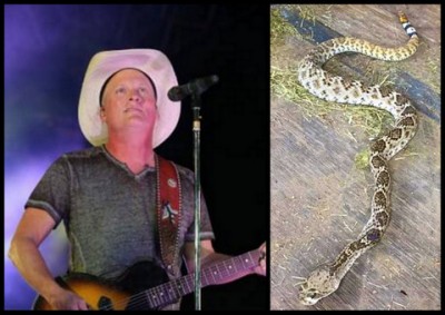 Randy Fowler shares gruesome snake bite pictures