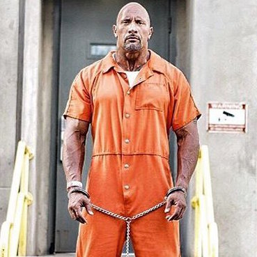 the rock wwe arrested