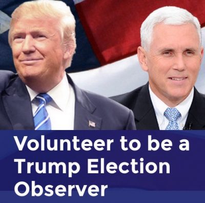 trump election observer form