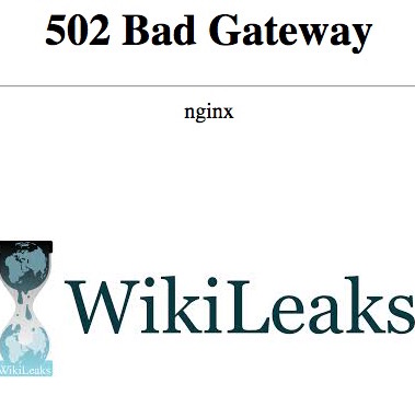 wikileaks-ddos-website