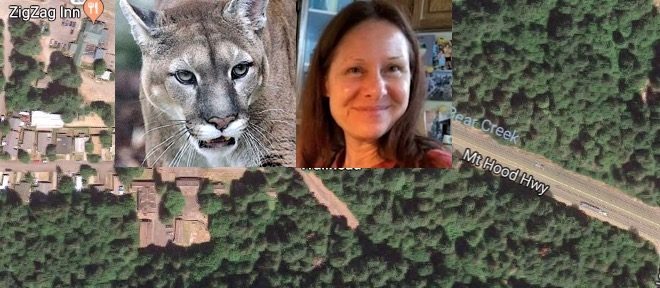 Or Coroner Hiker Found Near Mt Hood Hiking Trail Killed By Cougar In States First Recorded 8602