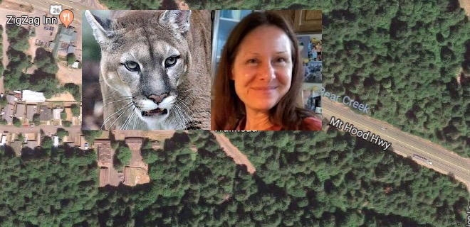 Or Coroner Hiker Found Near Mt Hood Hiking Trail Killed By Cougar In State S First Recorded