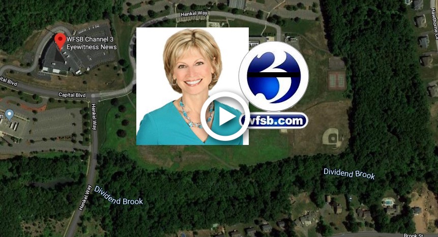 Video Remembering Wfsb News Anchor Denise Dascenzo