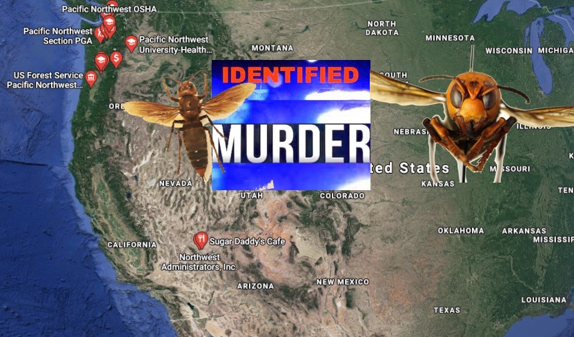 Murder Hornet Map