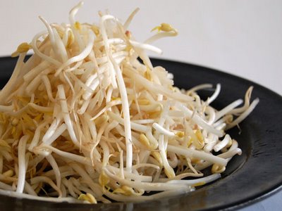Bean Sprouts Sicken Over 60 On East Coast