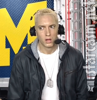 Eminem_Michigan_Notre_Dame_halftime_animated_gif