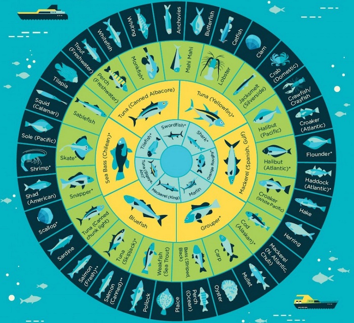 How to avoid mercury in fish Infographic