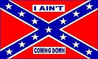I Ain't Coming Down rebel Confederate flag