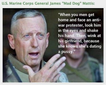 James-mad-dog-mattis-protester-meme - Thecount.com