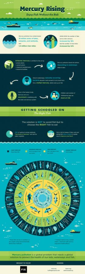 MercuryInFish_Infographic