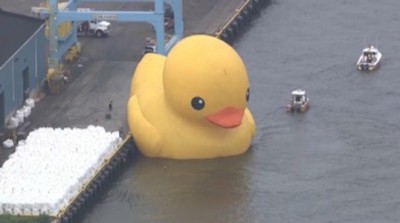 Rubber Ducky STUCK In Delaware River