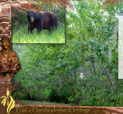 Seminole Reservation accident bear 4