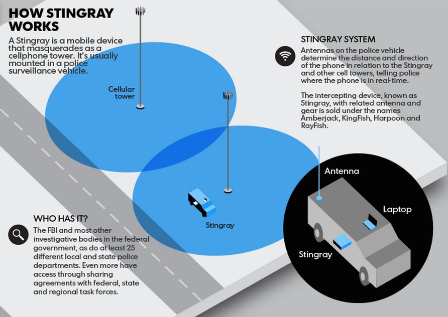 how stingray works