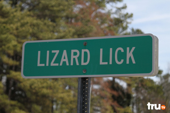 lizard-lick-03