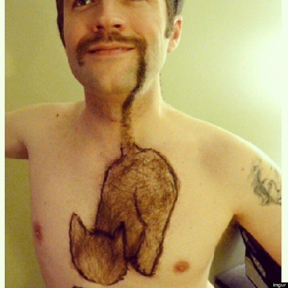 o-CAT-SHAPED-CHEST-HAIR-570
