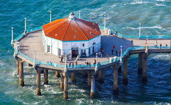 shark attacked a swimmer near the Manhattan Beach Pier 1