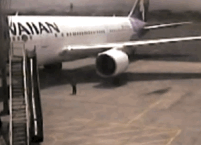 stowaway teen drops from plane