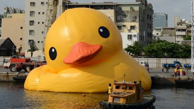 taiwan-duck7-horizontal-gallery