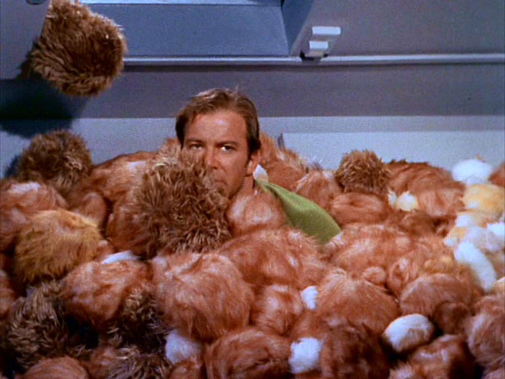 trouble-with-tribbles-10