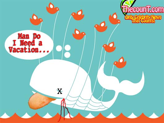 whale 1 Twitter Over Capacity Over and Over Again